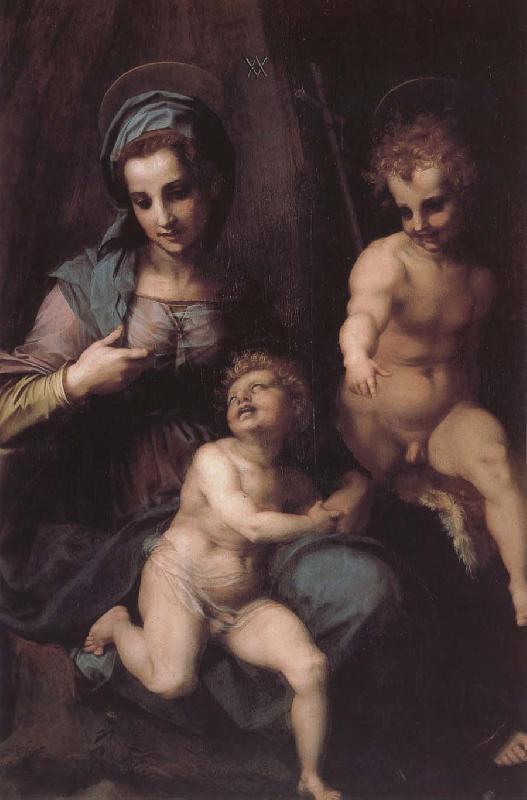 Andrea del Sarto Virgin Mary and Jeusu and John oil painting image